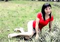 Gorgeous single women: China woman, bride Li
